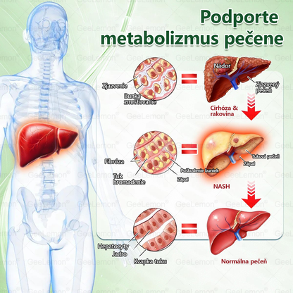 🔥Odporúčané UNB · 👩‍⚕️Oficiálny obchod Dr. Max | 🎁 𝐆𝐞𝑒𝐿𝑒𝐦𝐨𝐧® Glumasetide 8 v 1 Nano mikrotŕňový náplasť – Len raz denne ✅ Viditeľné zmeny za 7 dní na obezitu, ochabnutú pokožku a zdravie